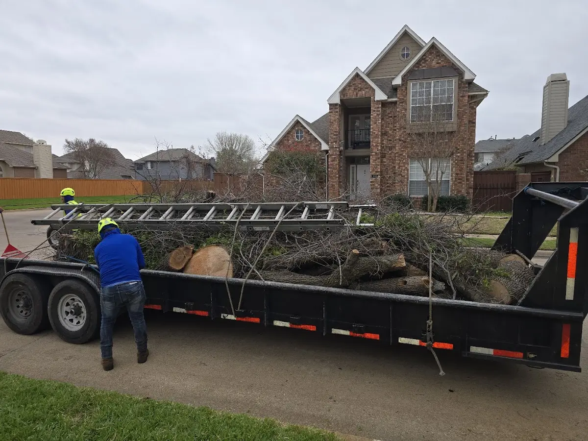 Expert Lot Clearing with proper safety equipment in Enderlin